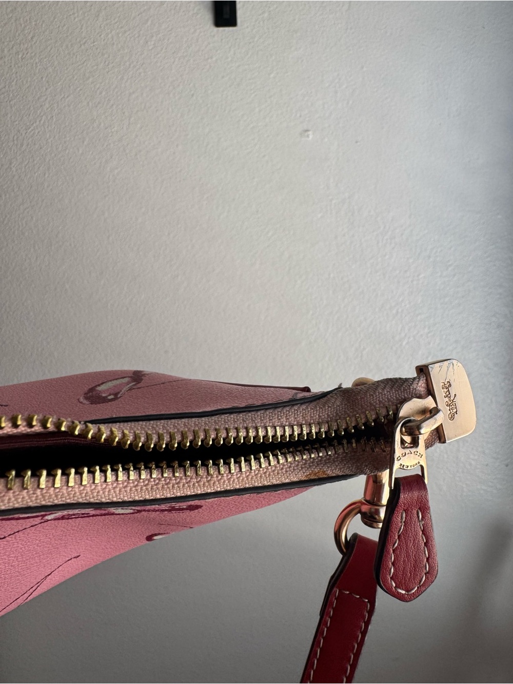 Cherry Print Coach Bag - Picture 4 of 7